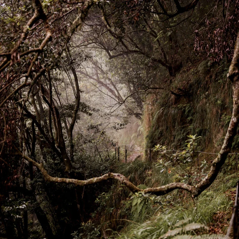 Madeira, Reisefotografie